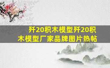 歼20积木模型歼20积木模型厂家、品牌、图片、热帖