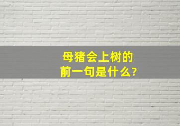 母猪会上树的前一句是什么?