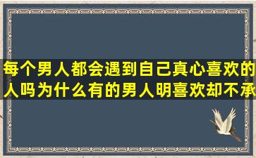 每个男人都会遇到自己真心喜欢的人吗为什么有的男人明喜欢却不承认...