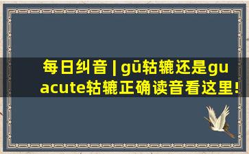 每日纠音 | gū轱辘还是gú轱辘,正确读音看这里!