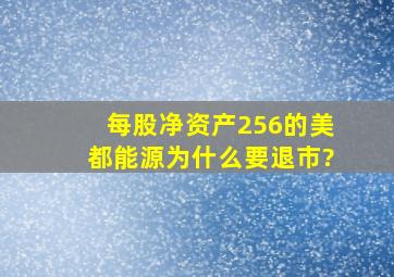 每股净资产2,56的美都能源为什么要退市?