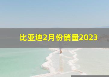 比亚迪2月份销量2023