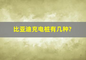 比亚迪充电桩有几种?