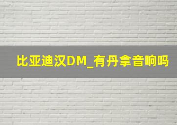 比亚迪汉DM_有丹拿音响吗