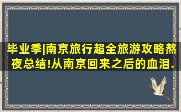 毕业季|南京旅行超全旅游攻略。熬夜总结!从南京回来之后的血泪...