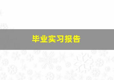 毕业实习报告