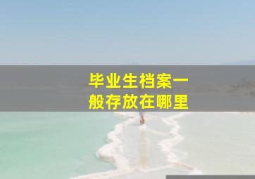 毕业生档案一般存放在哪里