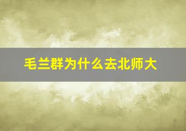 毛兰群为什么去北师大