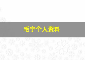 毛宁个人资料