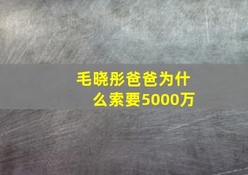 毛晓彤爸爸为什么索要5000万