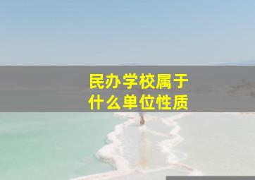 民办学校属于什么单位性质