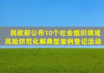 民政部公布10个社会组织领域风险防范化解典型案例登记活动