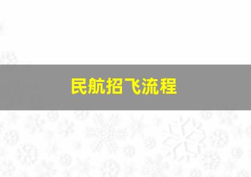 民航招飞流程