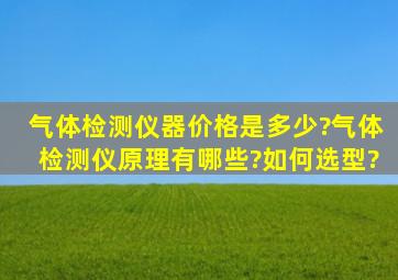 气体检测仪器价格是多少?气体检测仪原理有哪些?如何选型?