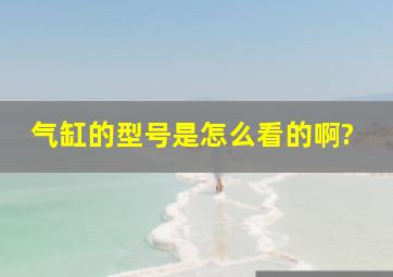 气缸的型号是怎么看的啊?