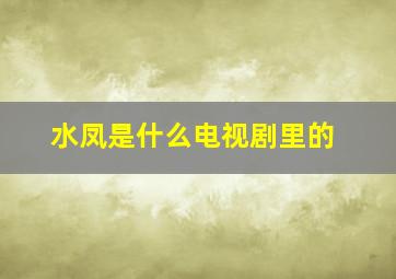 水凤是什么电视剧里的