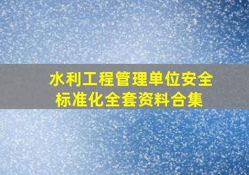 水利工程管理单位安全标准化全套资料合集 