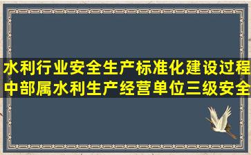 水利行业安全生产标准化建设过程中,部属水利生产经营单位三级安全...