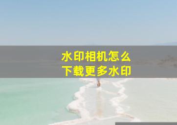 水印相机怎么下载更多水印