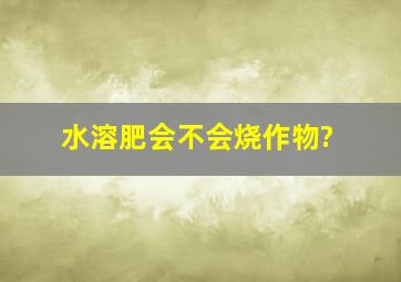 水溶肥会不会烧作物?