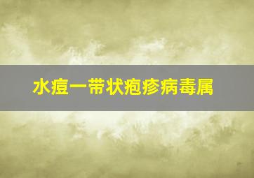 水痘一带状疱疹病毒属