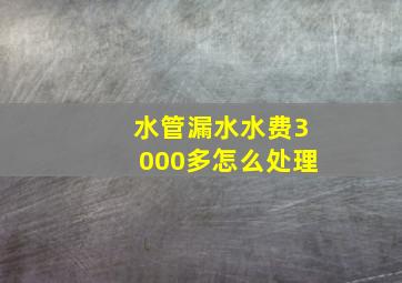 水管漏水水费3000多怎么处理