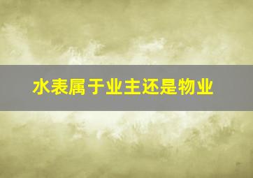 水表属于业主还是物业