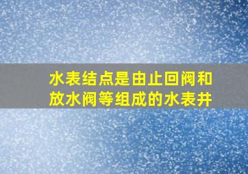 水表结点是由()、止回阀和放水阀等组成的水表井。