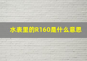 水表里的R160是什么意思