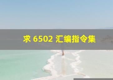 求 6502 汇编指令集