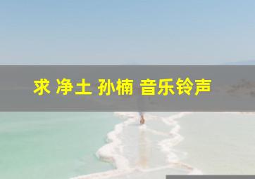 求 净土 (孙楠) 音乐铃声