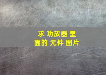 求 功放器 里面的 元件 图片。。