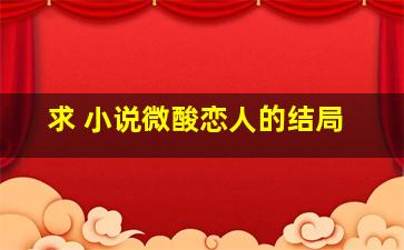 求 小说【微酸恋人】的结局