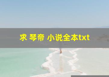 求 琴帝 小说全本txt