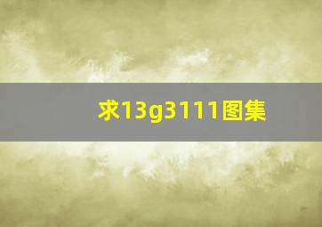 求13g3111图集