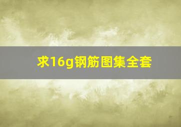 求16g钢筋图集全套