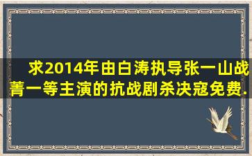 求2014年由白涛执导,张一山、战菁一等主演的抗战剧《杀决寇》免费...