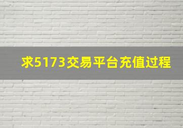 求5173交易平台充值过程