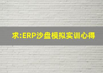 求:ERP沙盘模拟实训心得