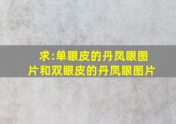 求:单眼皮的丹凤眼图片和双眼皮的丹凤眼图片