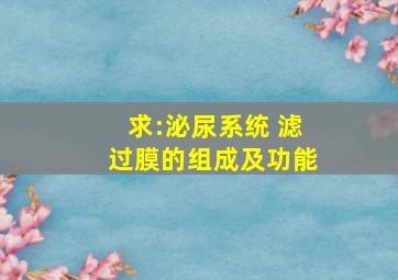 求:泌尿系统 滤过膜的组成及功能