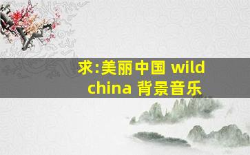 求:美丽中国 wild china 背景音乐