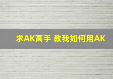 求AK高手 教我如何用AK