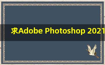 求Adobe Photoshop 2021 V22.4.3.317 绿色中文版网盘资源