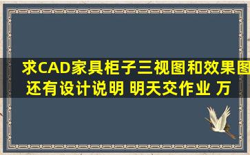 求CAD家具柜子三视图和效果图 还有设计说明 明天交作业 万分感谢