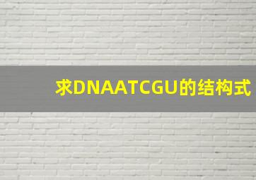 求DNA(ATCGU)的结构式