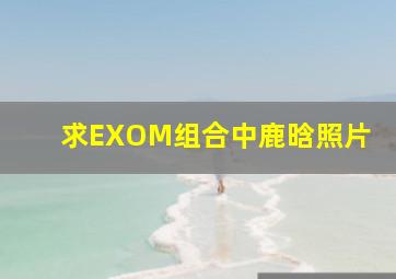 求EXOM组合中鹿晗照片