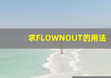 求FLOWNOUT的用法