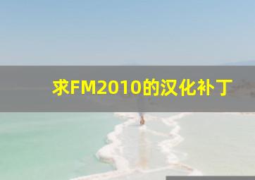 求FM2010的汉化补丁