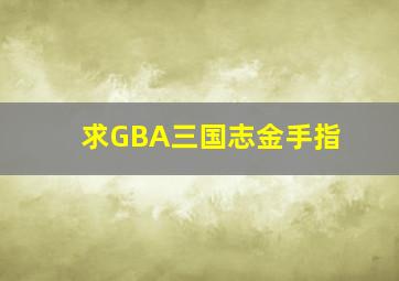 求GBA三国志金手指。